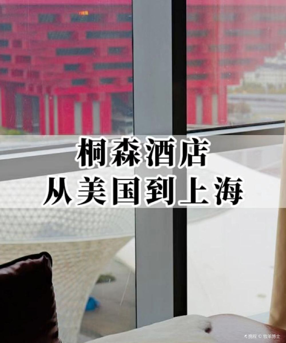 上海世博桐森酒店图片