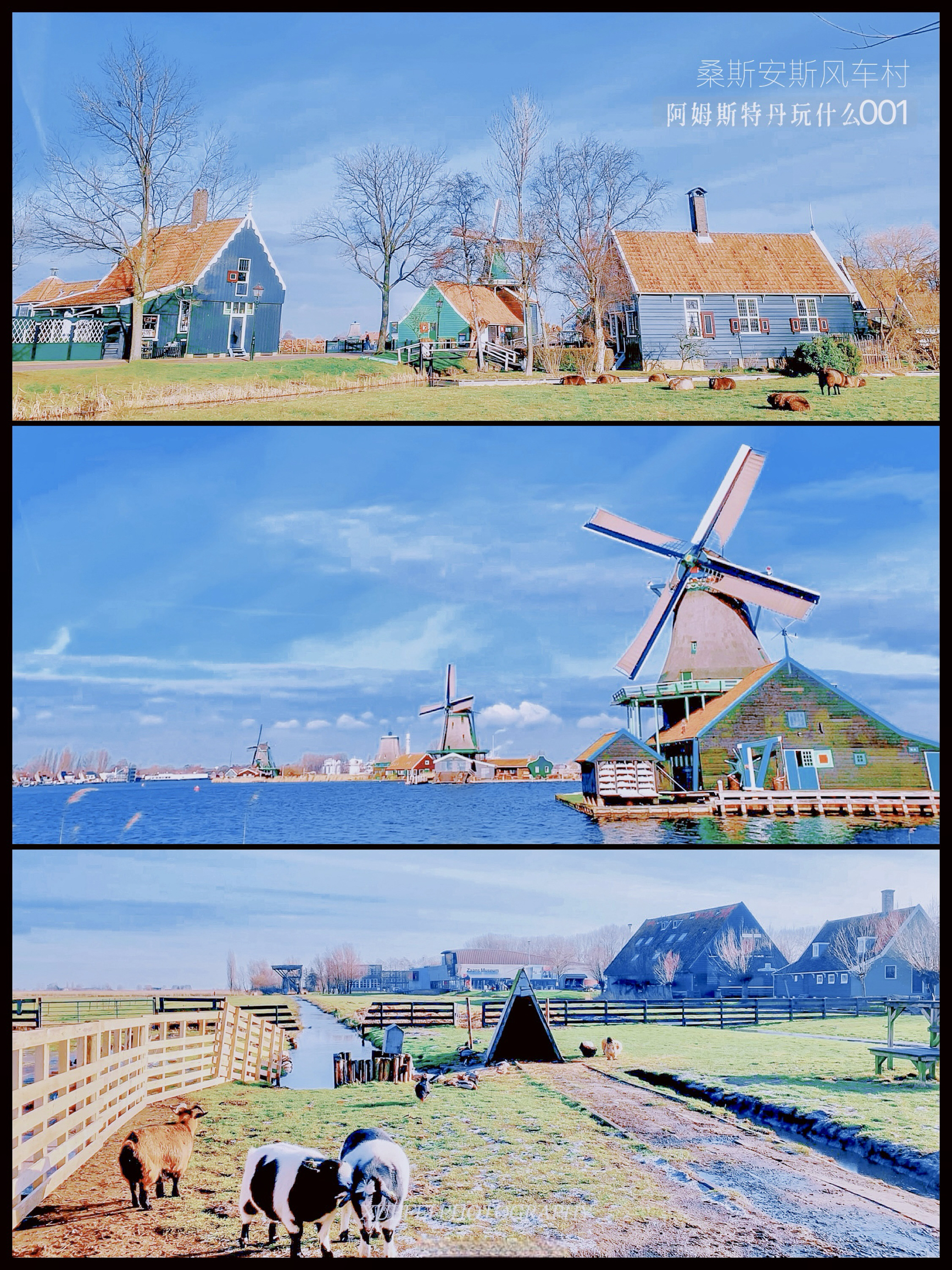 阿姆斯特丹的童话小镇| 桑斯安斯风车村💕