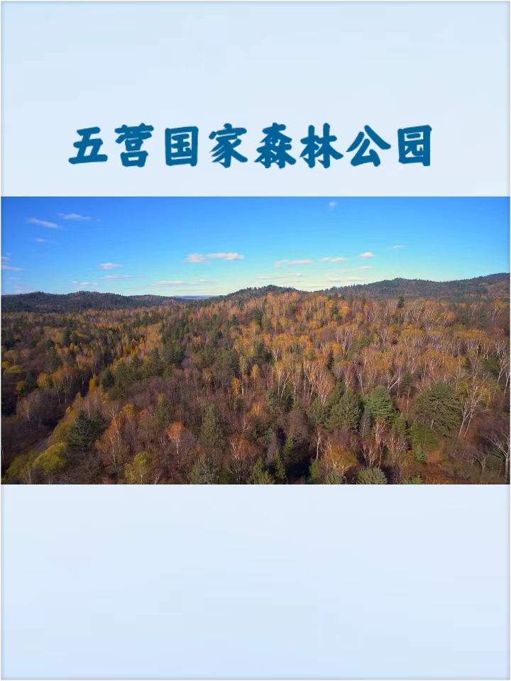 五营国家森林公园：中国最大的红松原始森林