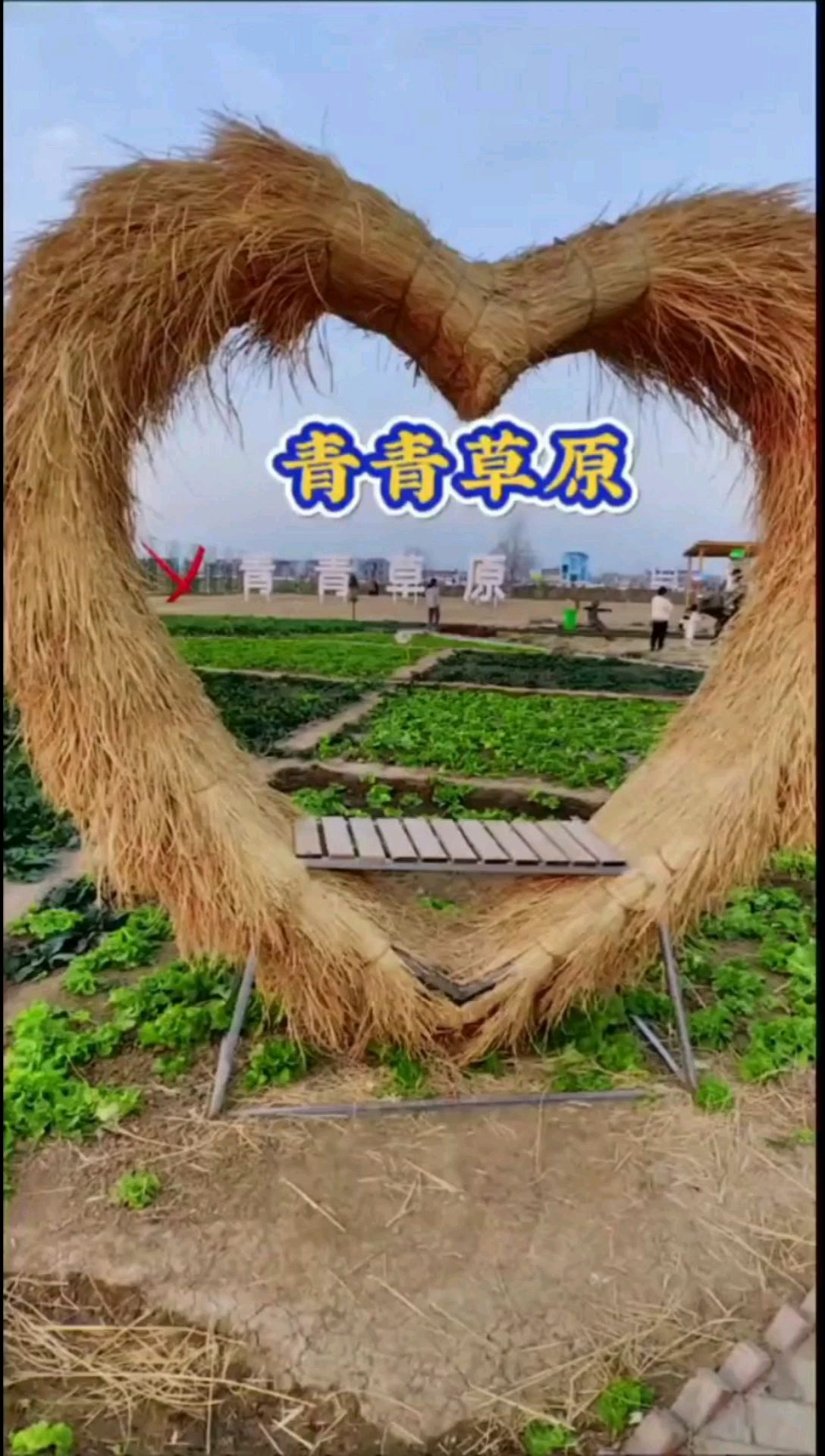 利辛县青青草原农场