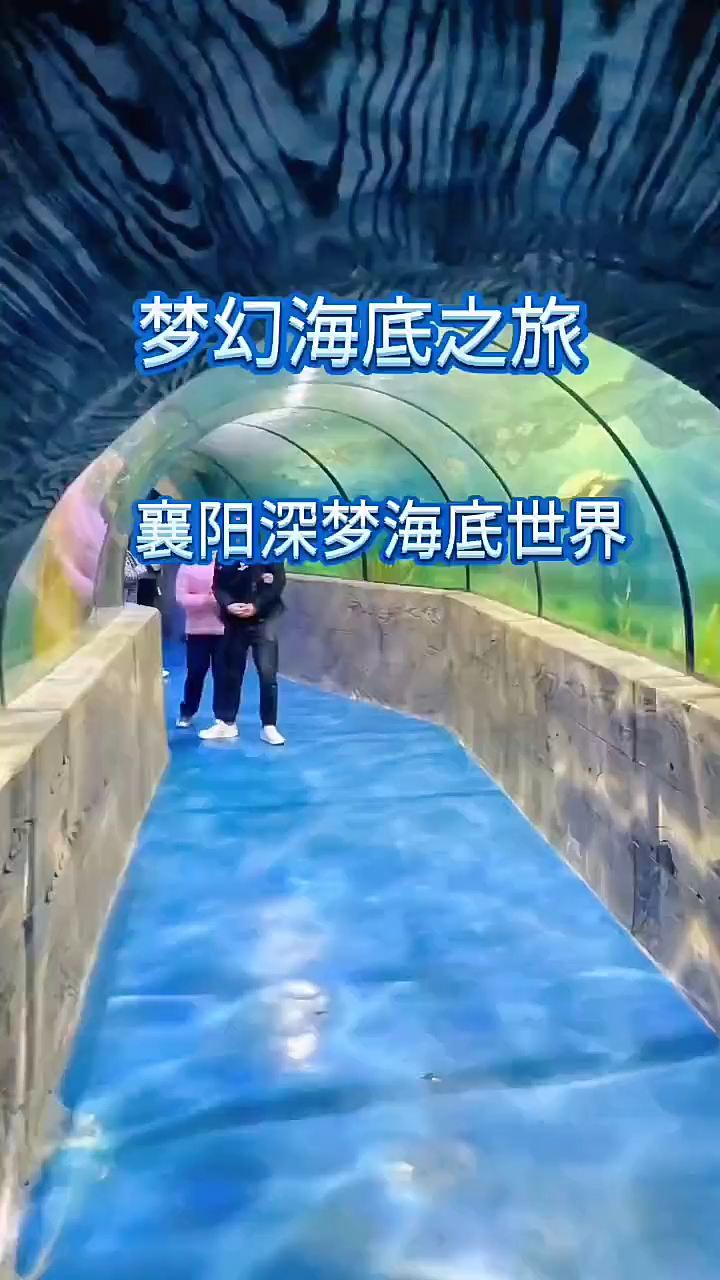 #襄阳深梦海底世界