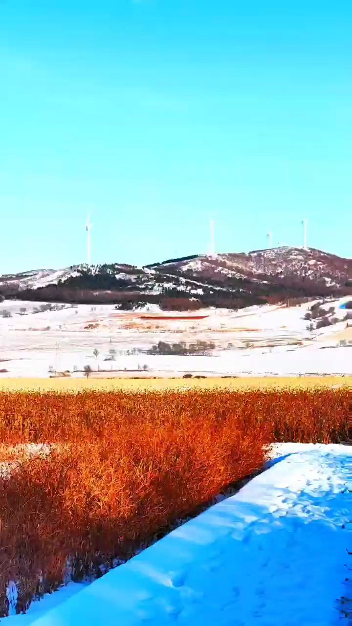 敖包岭冬季雪景