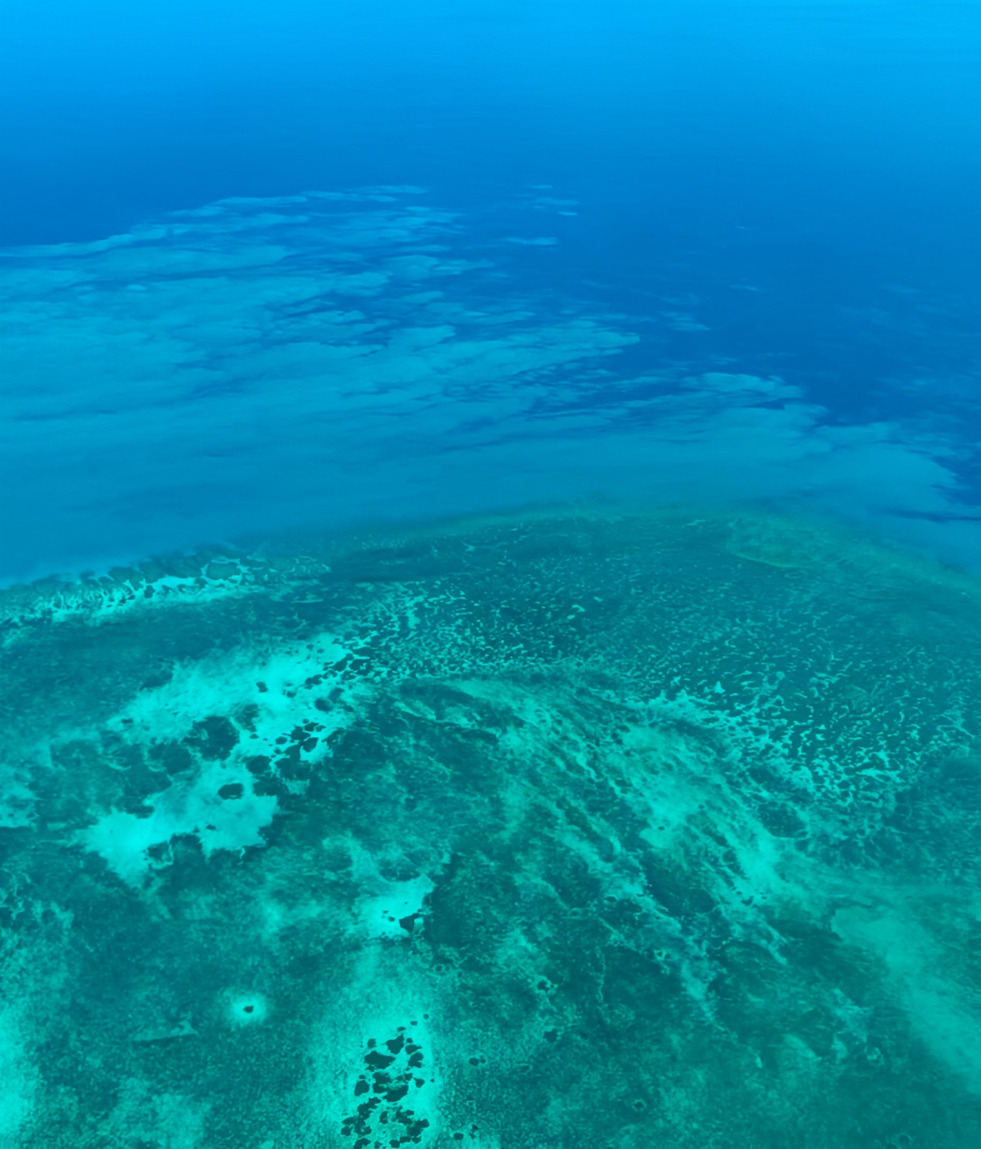 探索神秘澳大利亚！带你领略大堡礁的绝美风光！🌊