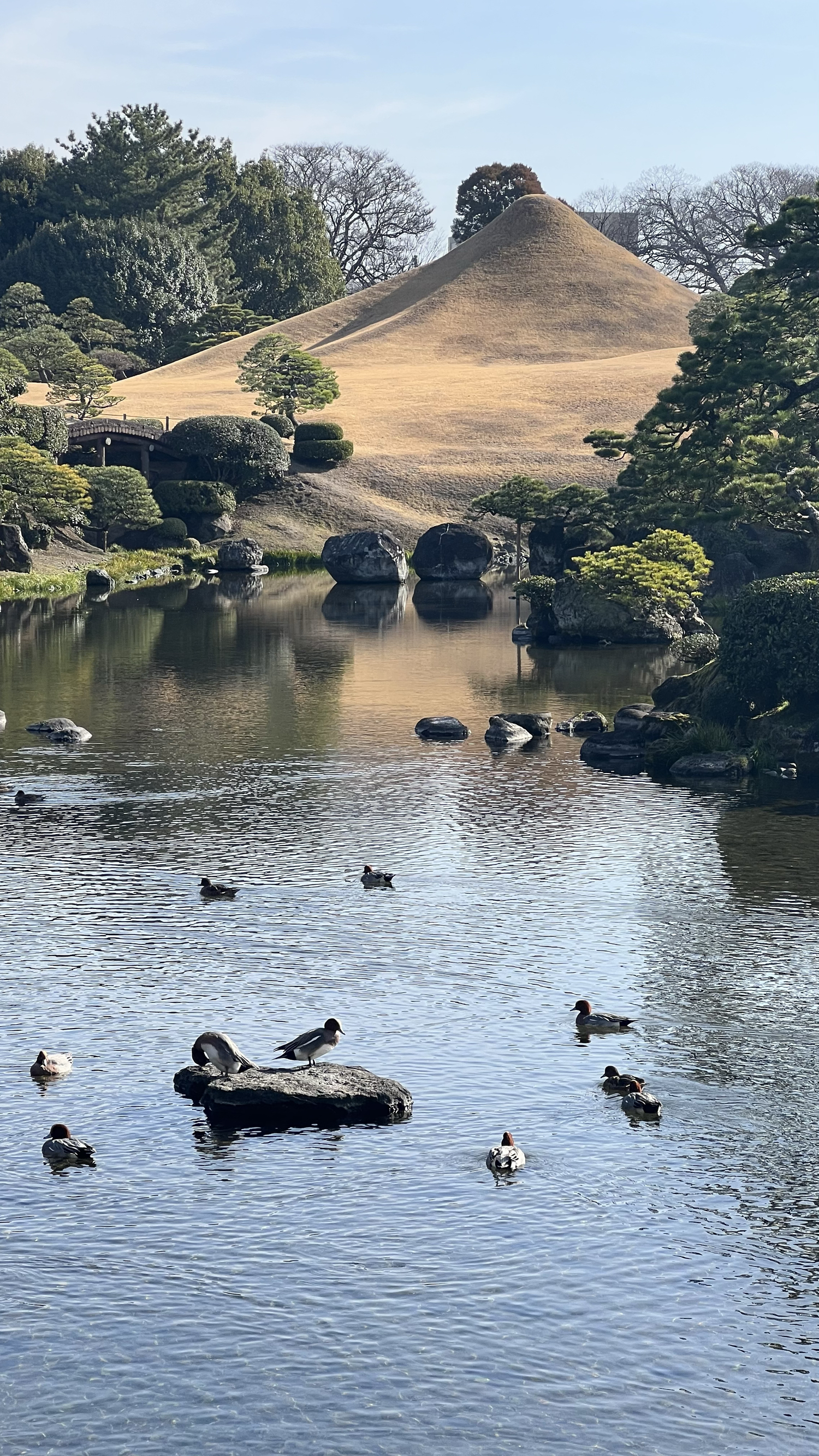 极致日式美景，水前寺成趣园处处是惊喜