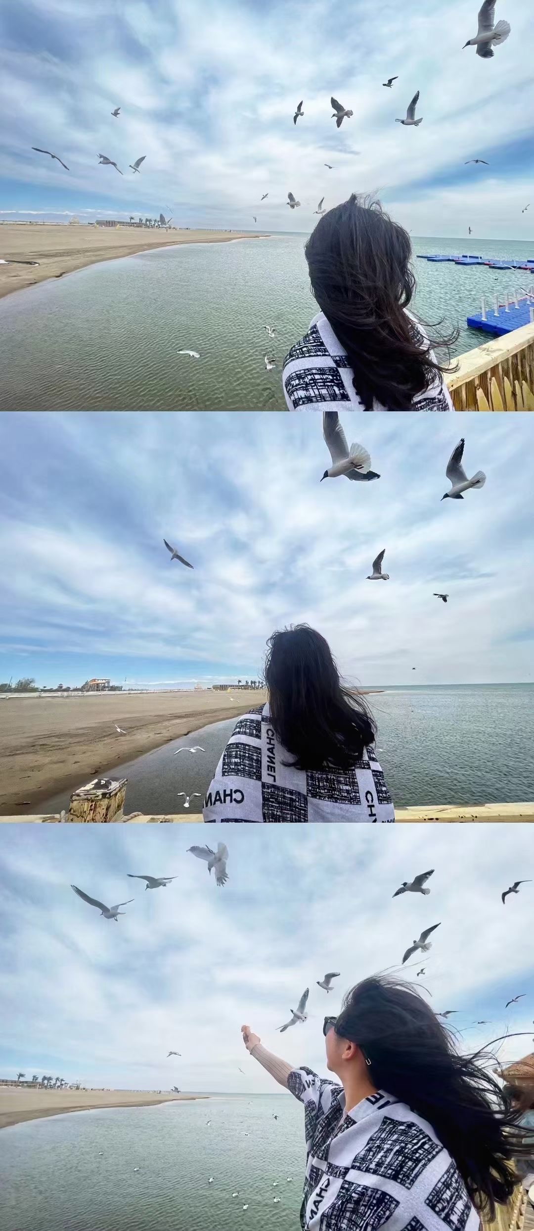 今日份📌 ​客片分享[呲牙] ​博斯腾湖，很多海鸥🐦在翱翔