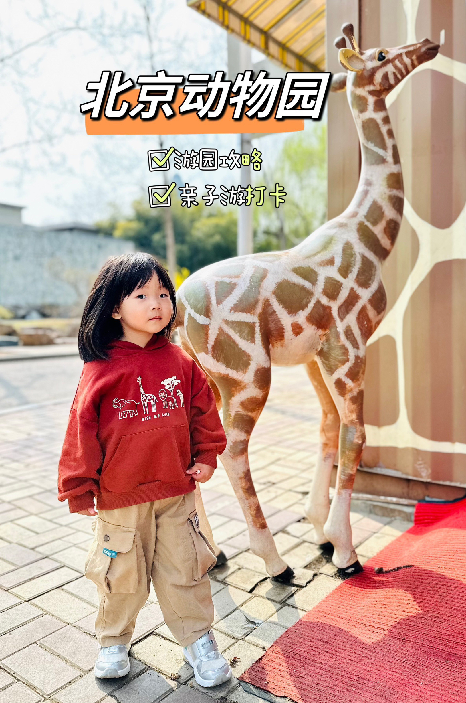 7刷北京动物园 | 周末亲子游全攻略