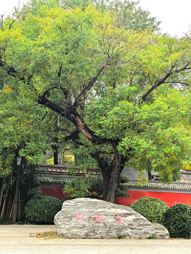 北京八大处医院挂号官网，北京八大处挂号攻略