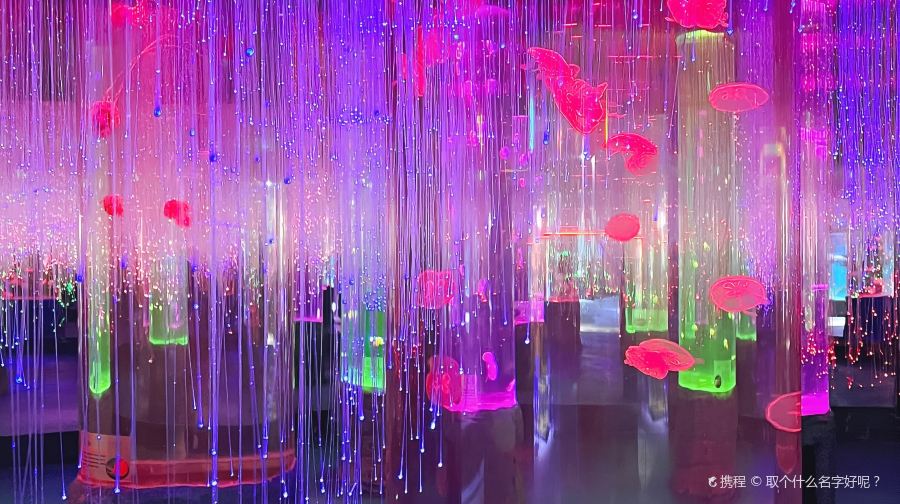 京海海洋萌宠乐园(上品折扣草桥店)