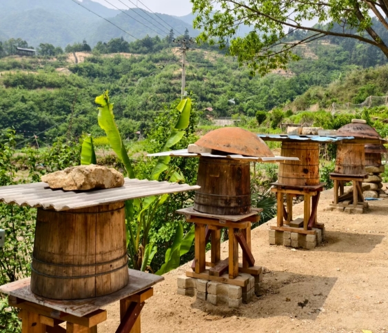 岳西黄尾山林土鸡农家乐餐厅图片