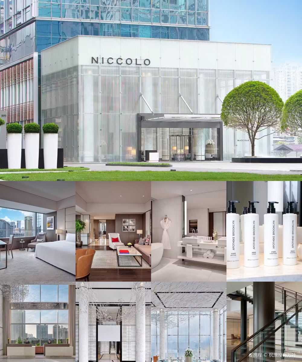 成都尼依格罗酒店图片