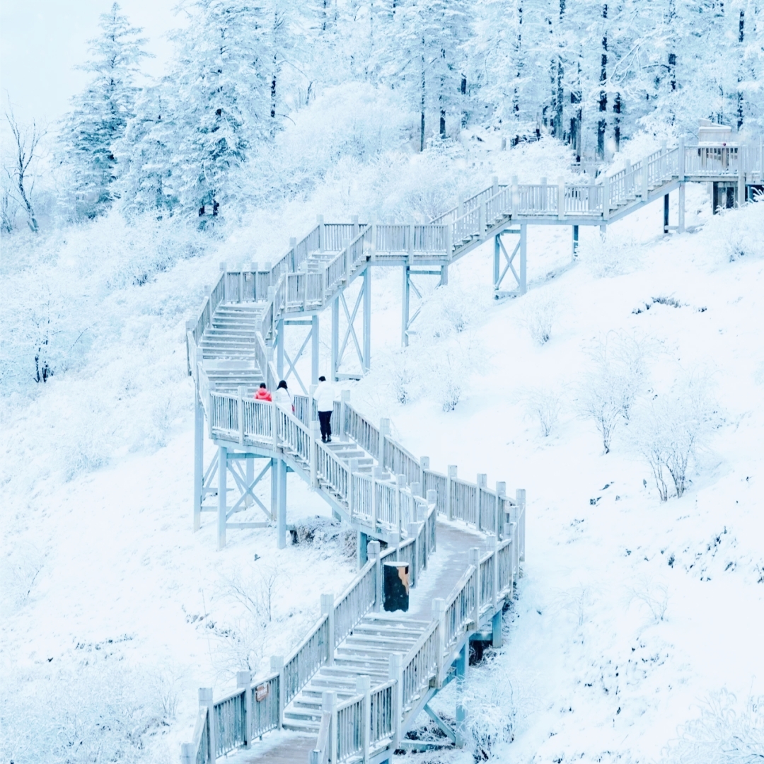 西岭雪山游玩攻略，没人能够拒绝川西的雪景心，