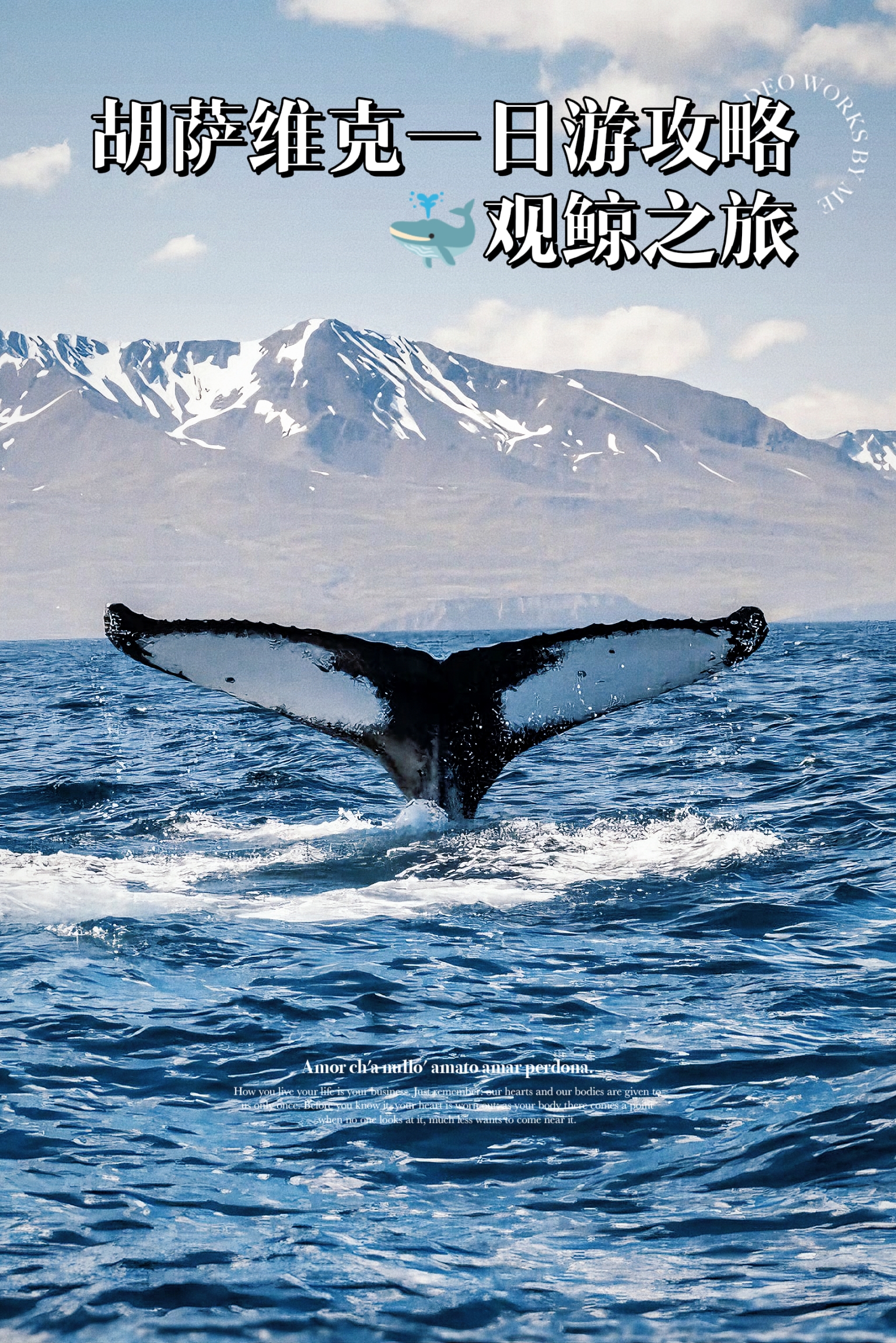 🐋胡萨维克游玩攻略，玩转冰岛观鲸之都！