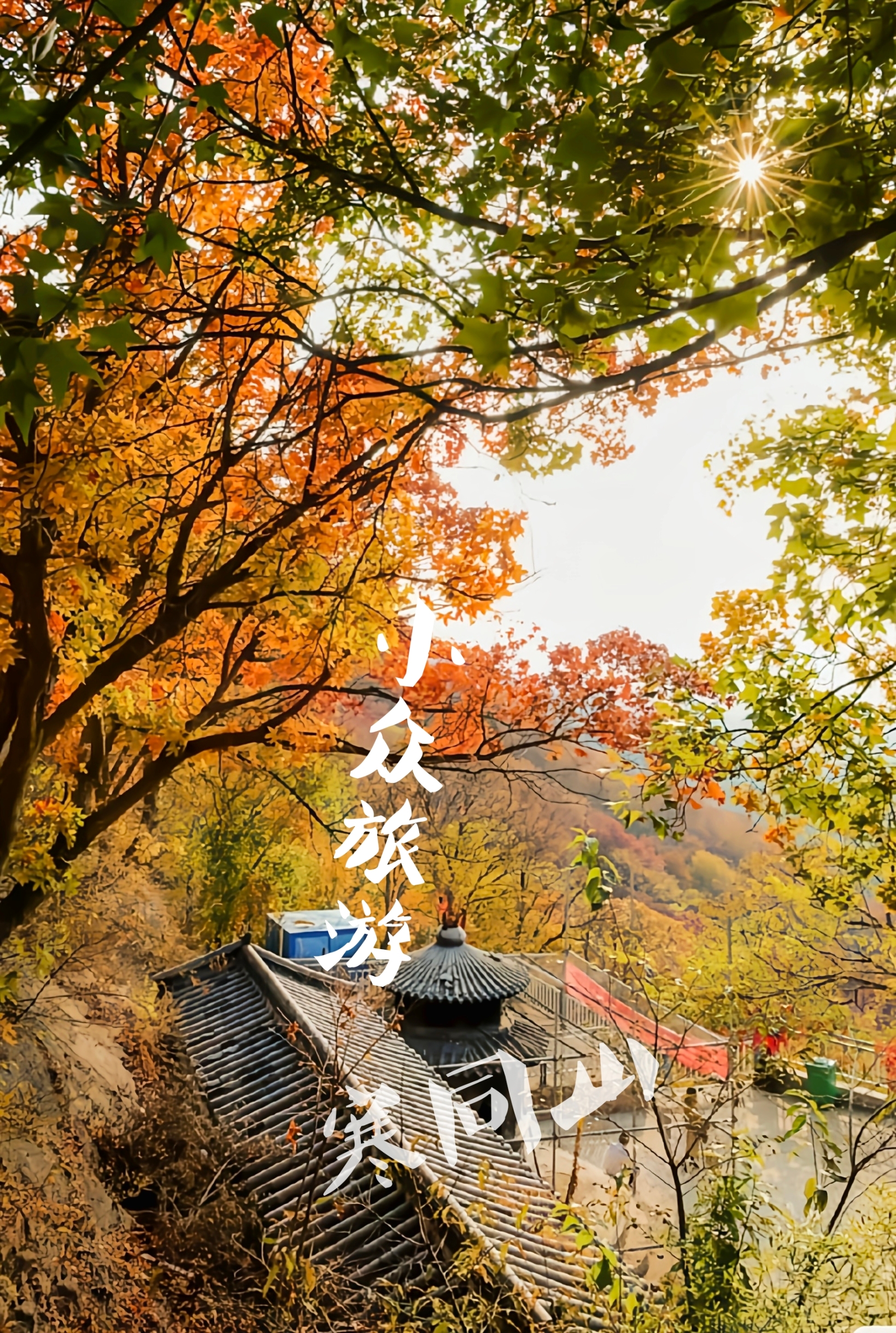 这里完全是我想要的秋天❗️｜寒同山