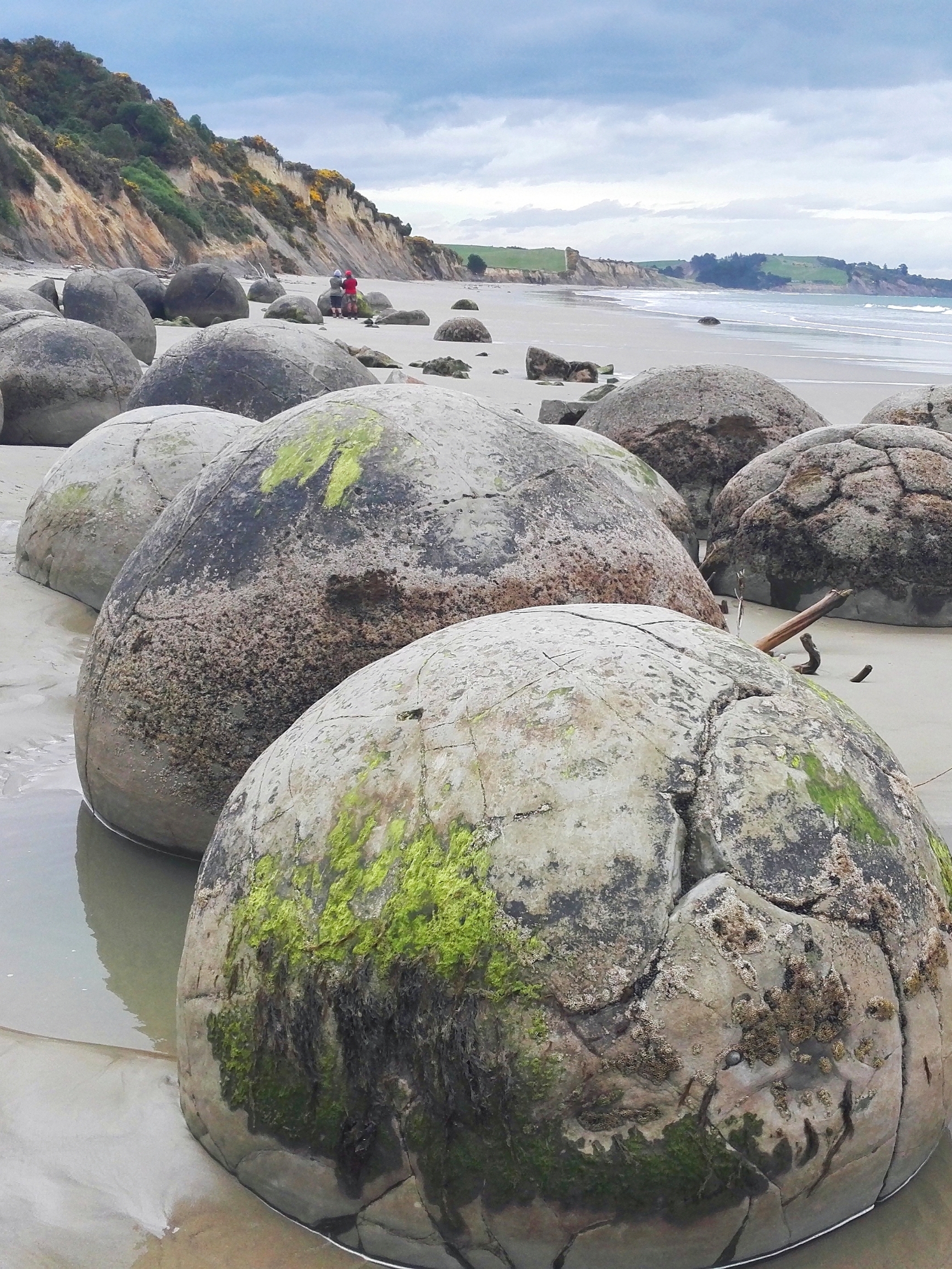 新西兰南岛：摩拉基大圆石哪来的？