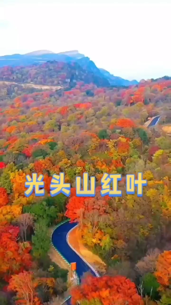 红叶即将迎来 最佳观赏期，有一起去的吗？景色特别漂亮！#光头山枫叶 #四川旅游