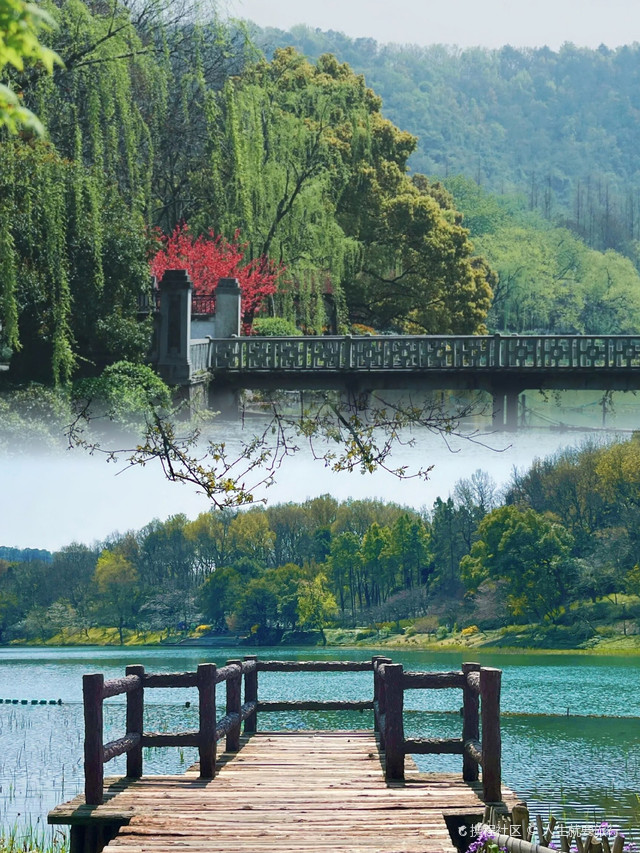 绝美春游地!杭州西湖乌龟潭游玩攻略