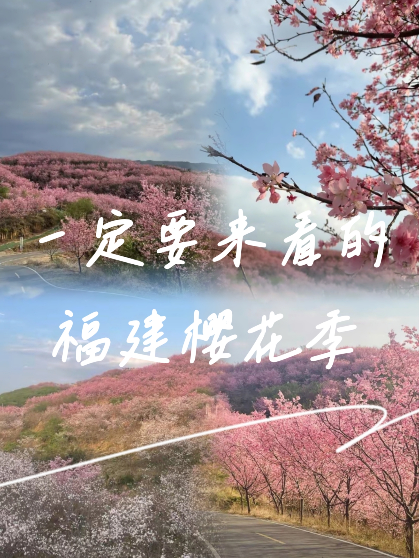 中国：世界三大赏樱圣地‼️我已经在福建预约了樱花盛宴🌸