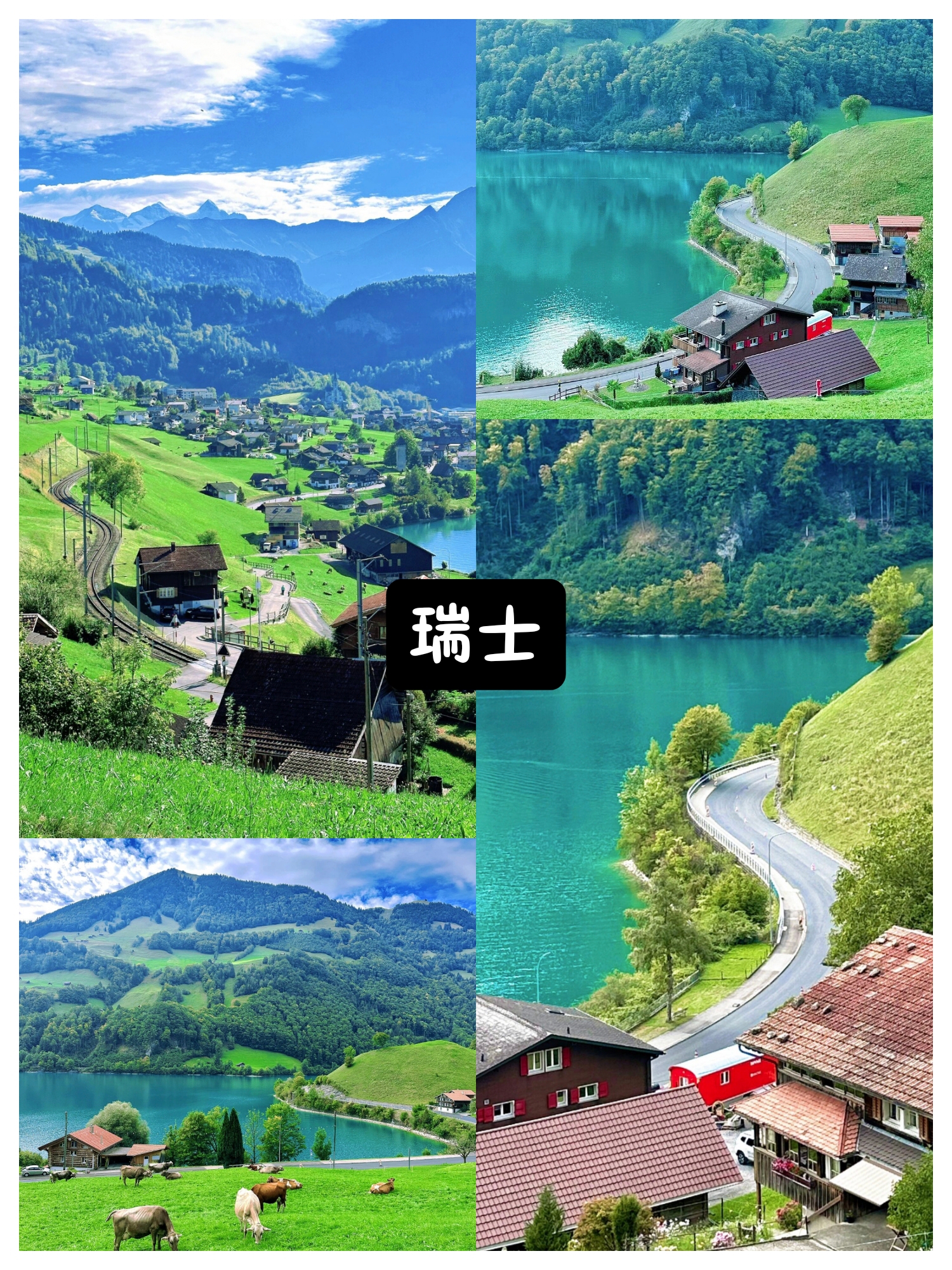 瑞士🇨🇭龙疆Lungern攻略，美的像童话世界💚