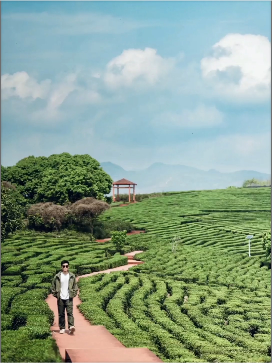 没去杭州❗就在东莞周边，小众万亩茶园。 广东的春天除了有多彩的鲜花，还有满眼绿意的山野 趁着周末的闲