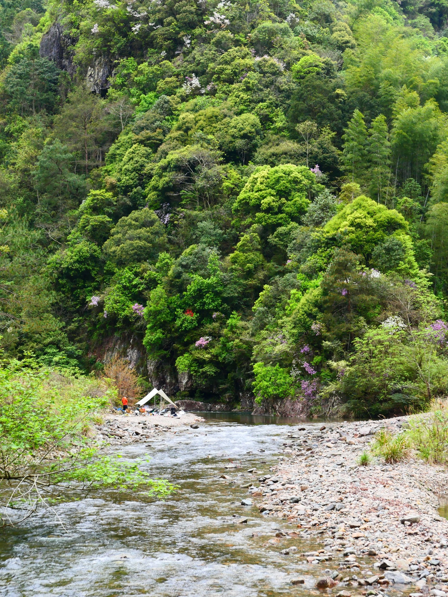 在🍀淡竹🌺野营🏕️我感觉全身得到了放松