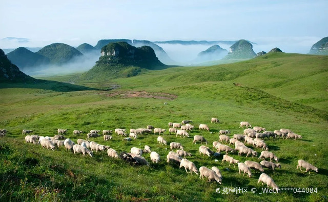 乌蒙大草原1日游攻略:征服云端的自然之旅_盘州乌蒙大草原景区-观景