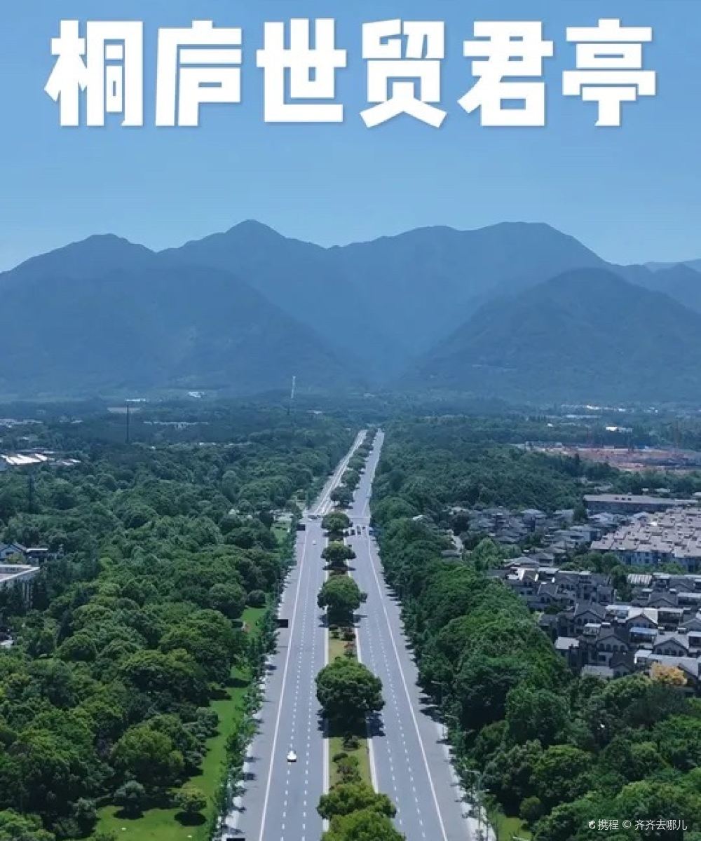 桐庐世贸君亭酒店图片