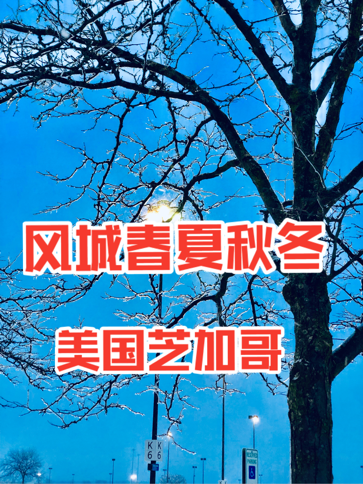 芝加哥｜城市掠影，我想念风城的春夏秋冬