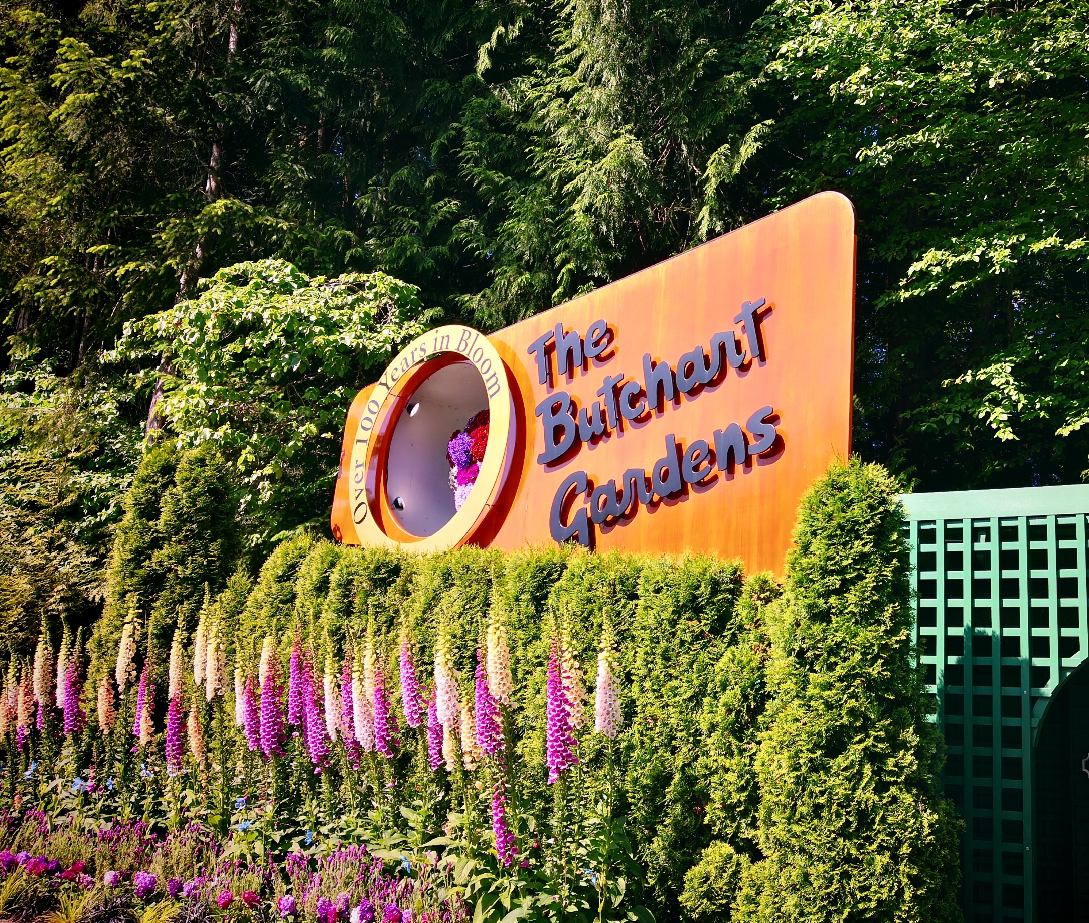 加拿大|布查特花园 世界第二大花园 温哥华旅行必打卡