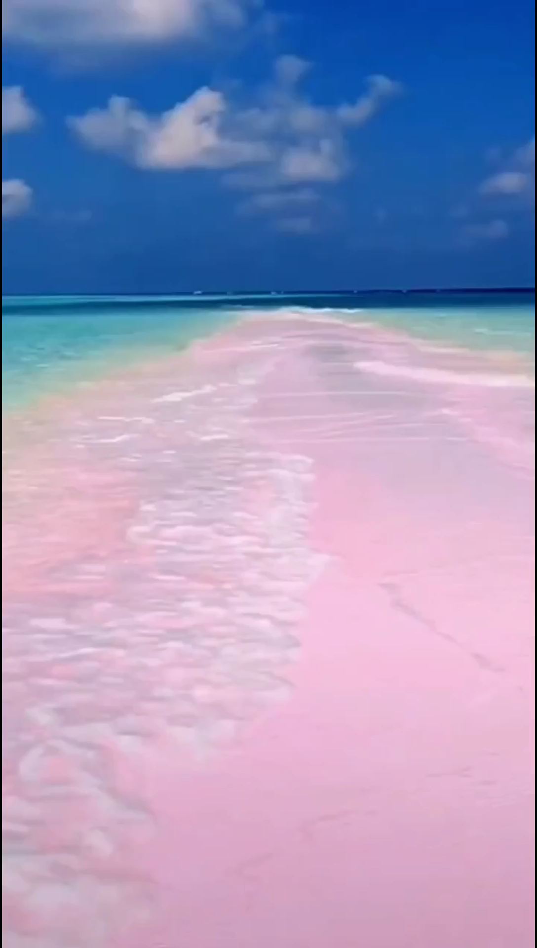 梦幻的 粉色沙滩搜 ，带着你最爱的人来吧！