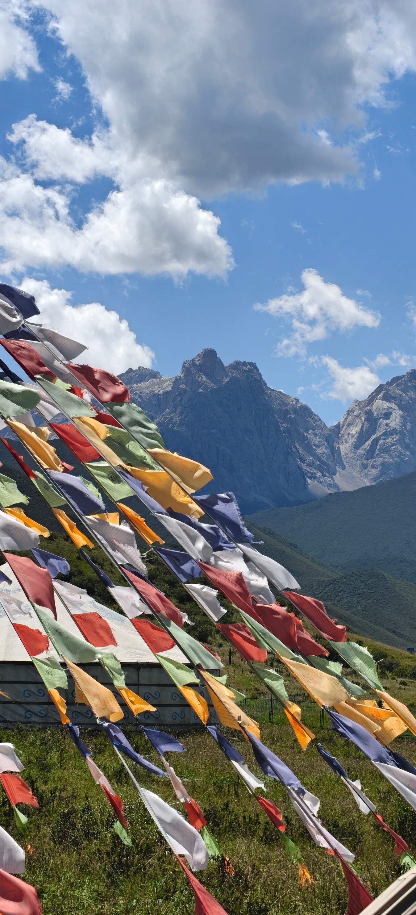 雪域圣境餐厅图片