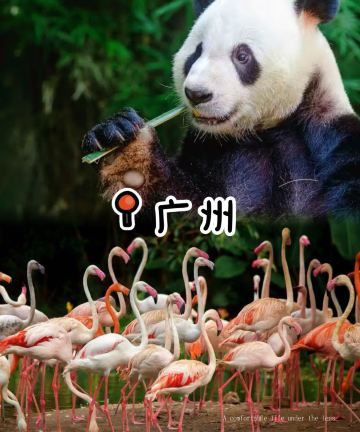 全季酒店(广州番禺市桥地铁站店)图片