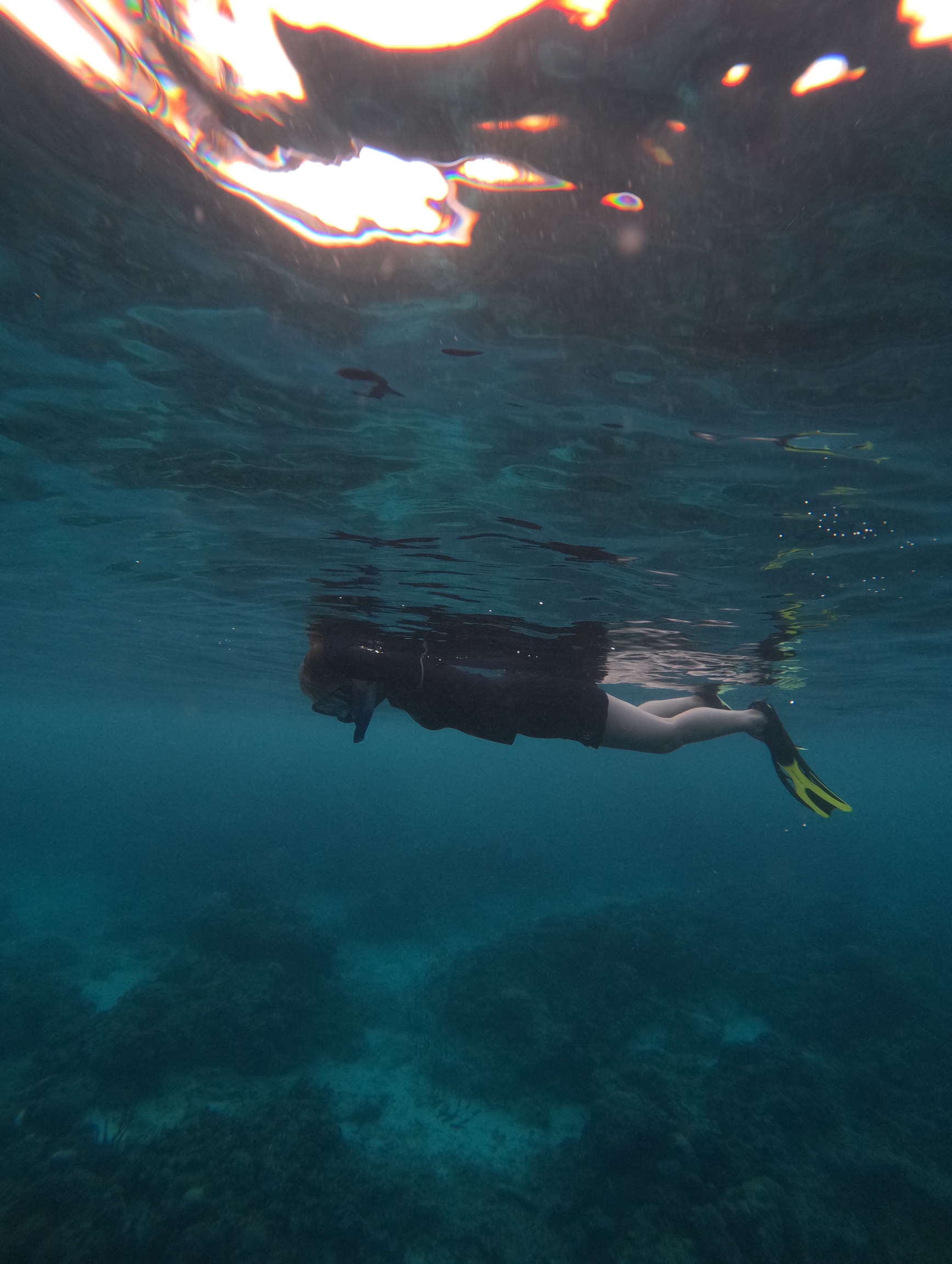 墨宝浮潜🤿 跟着潜导Steven在6天内共潜4次。 此次是我人生第一次浮潜，完全超出我的预期。 第一