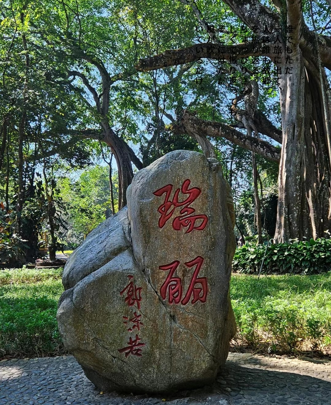 瑞丽，这座位于云南省西部的小城，以其独特的地理位置和丰富的旅游资源吸引着无数游客。以下是一份详细的瑞