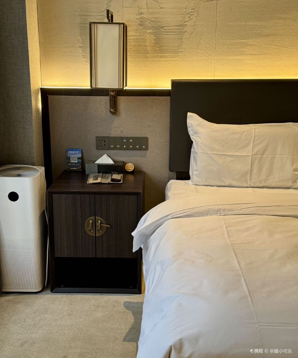 丽呈東谷酒店  (哈尔滨防洪纪念塔中央大街店)图片