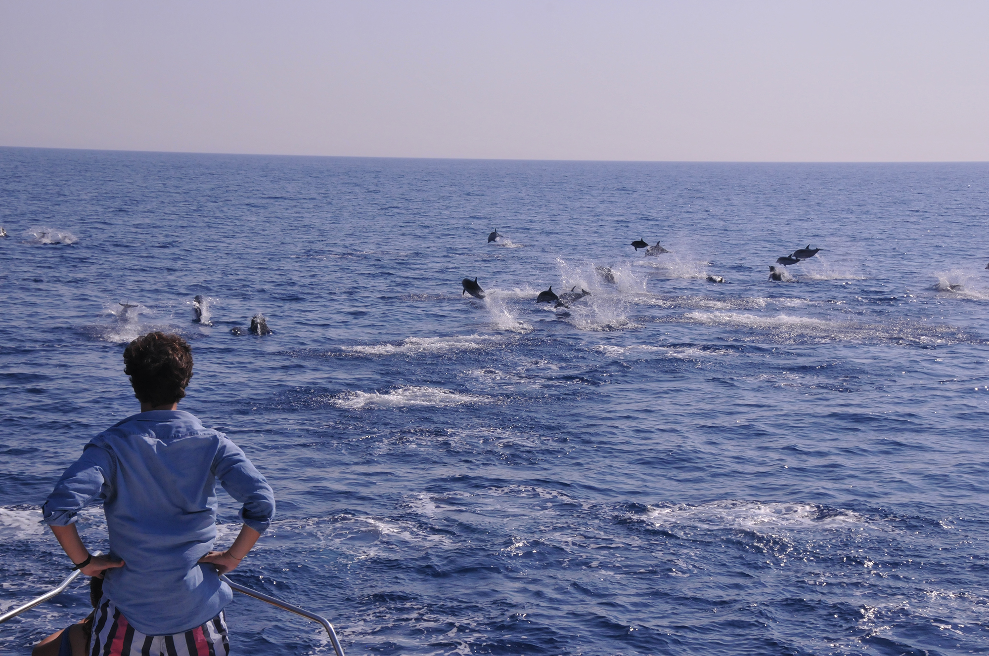 深蓝时见鲸，从摩纳哥出发来一场冒险之旅！
