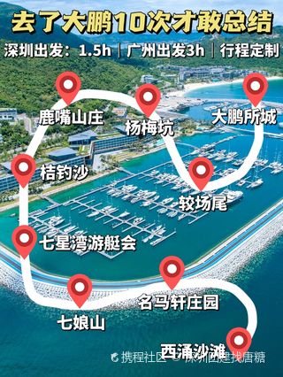 深圳旅游公司的崛起与变革
