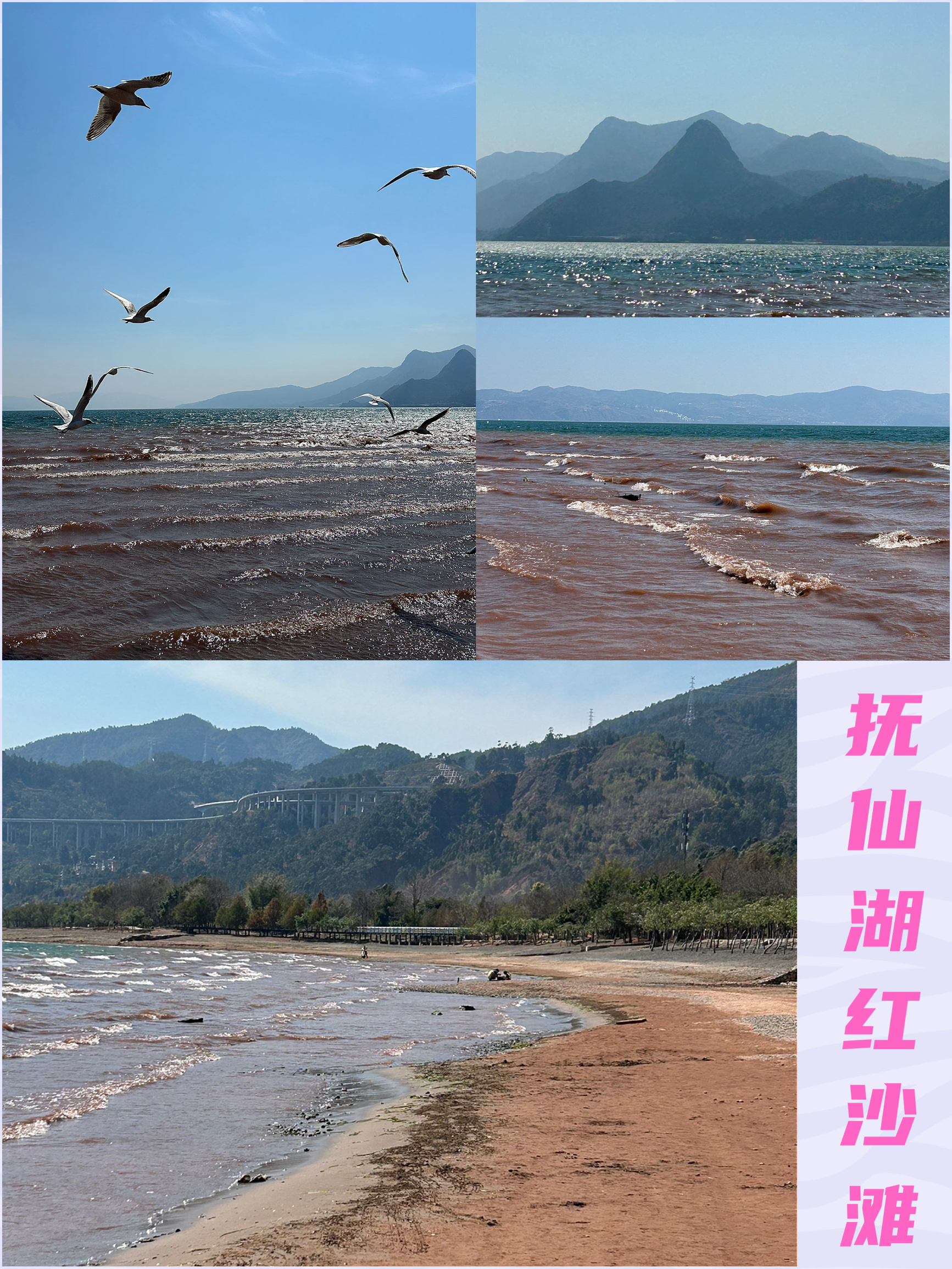 抚仙湖有一片罕见的粉红沙滩，人少景美，鲜人知晓