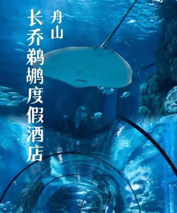 舟山长乔鹈鹕度假酒店图片