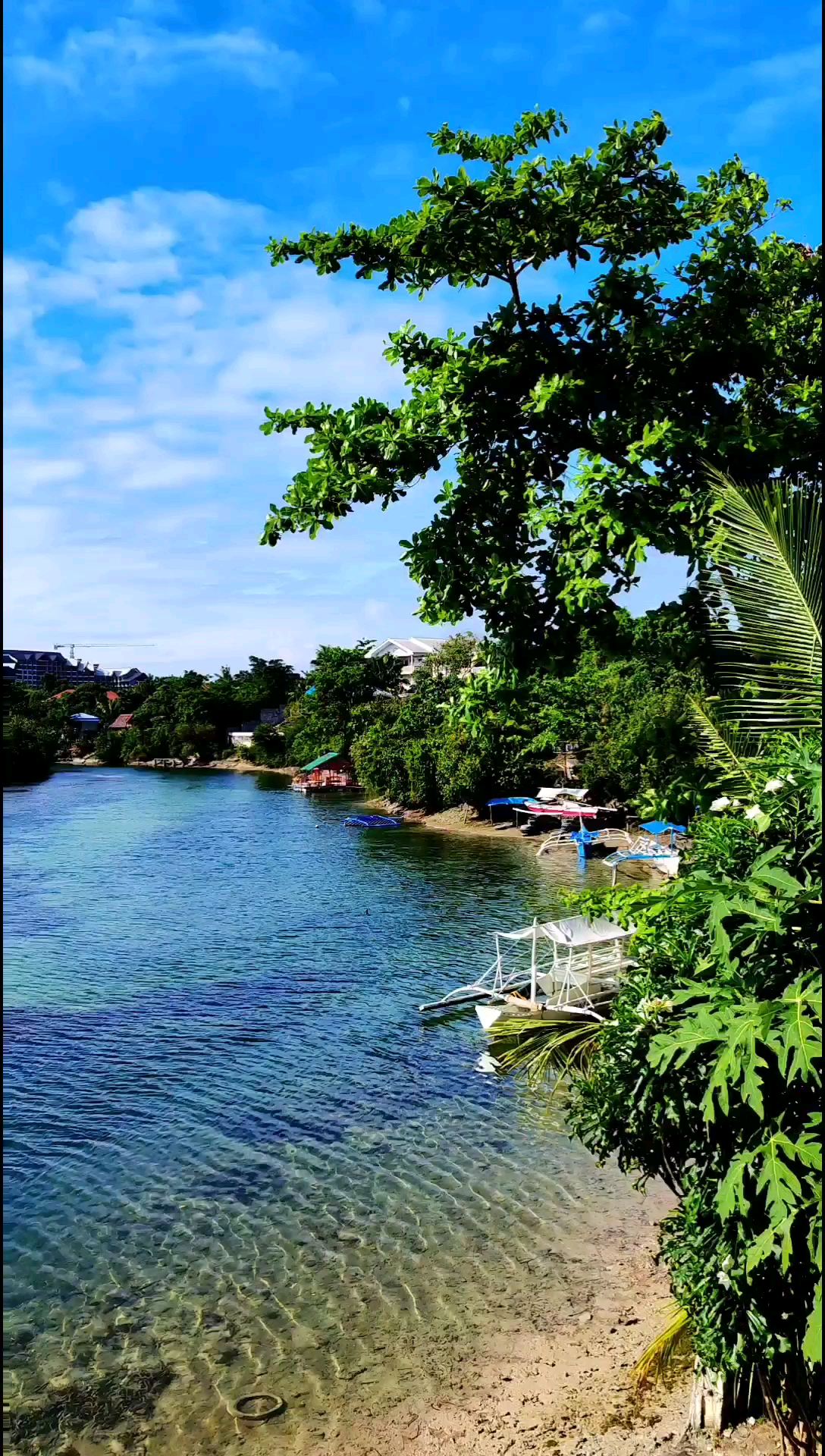 菲律宾邦劳岛