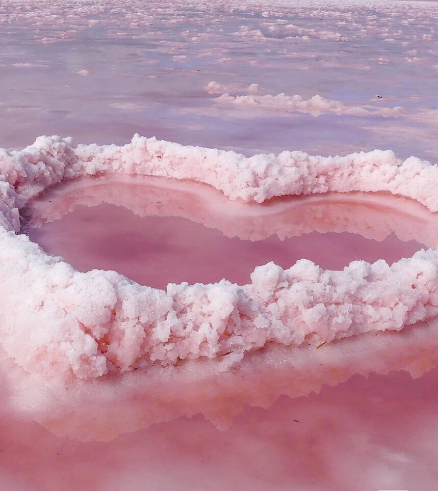 澳大利亚 粉色湖 真的超美 推荐值得看