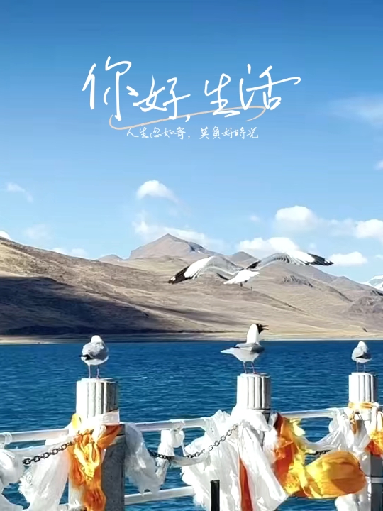 西藏羊湖，超治愈