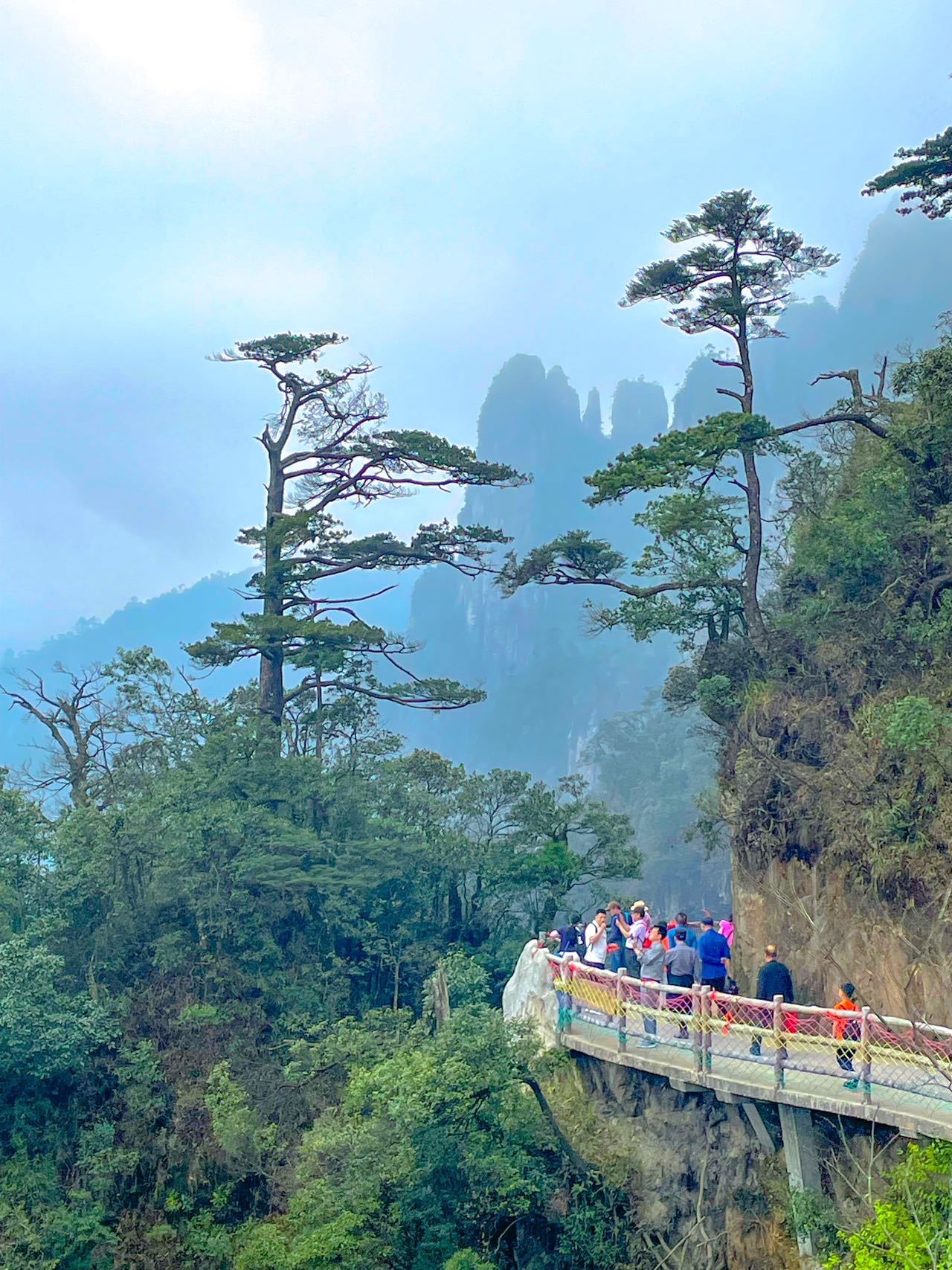 刚从爬山天堂郴州回来，懒人必看旅游攻略‼️