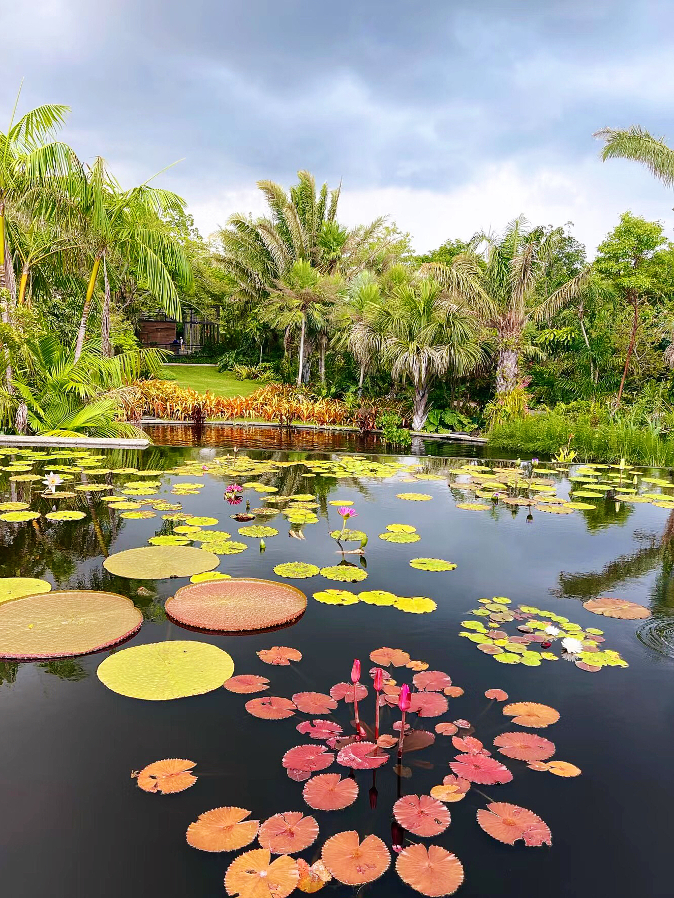 Fifth Avenue Coffee Company & 6th Street Diner