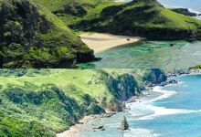 Honesty Coffee Shop美食图片