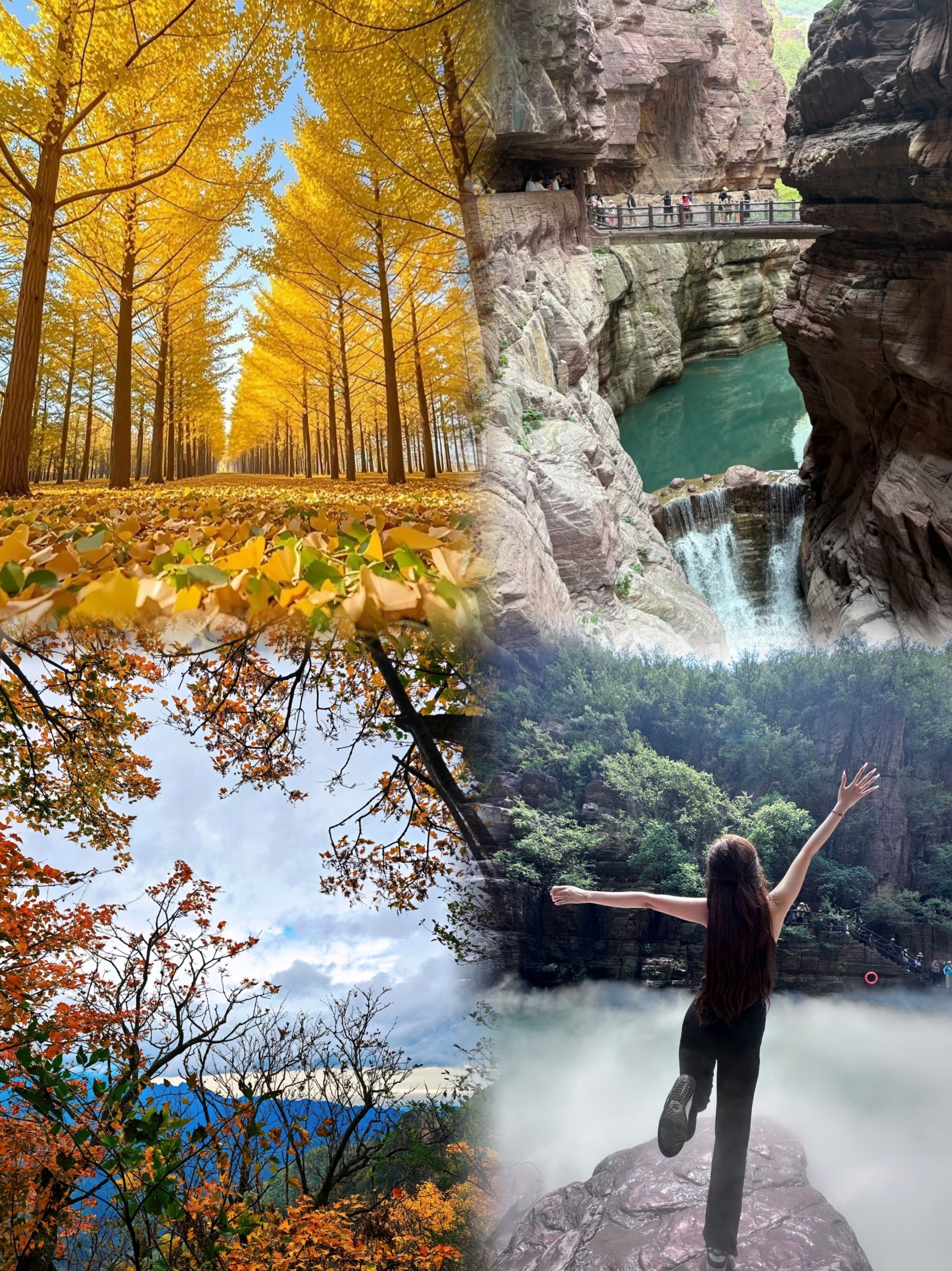 郭记烩面(岸上村店)