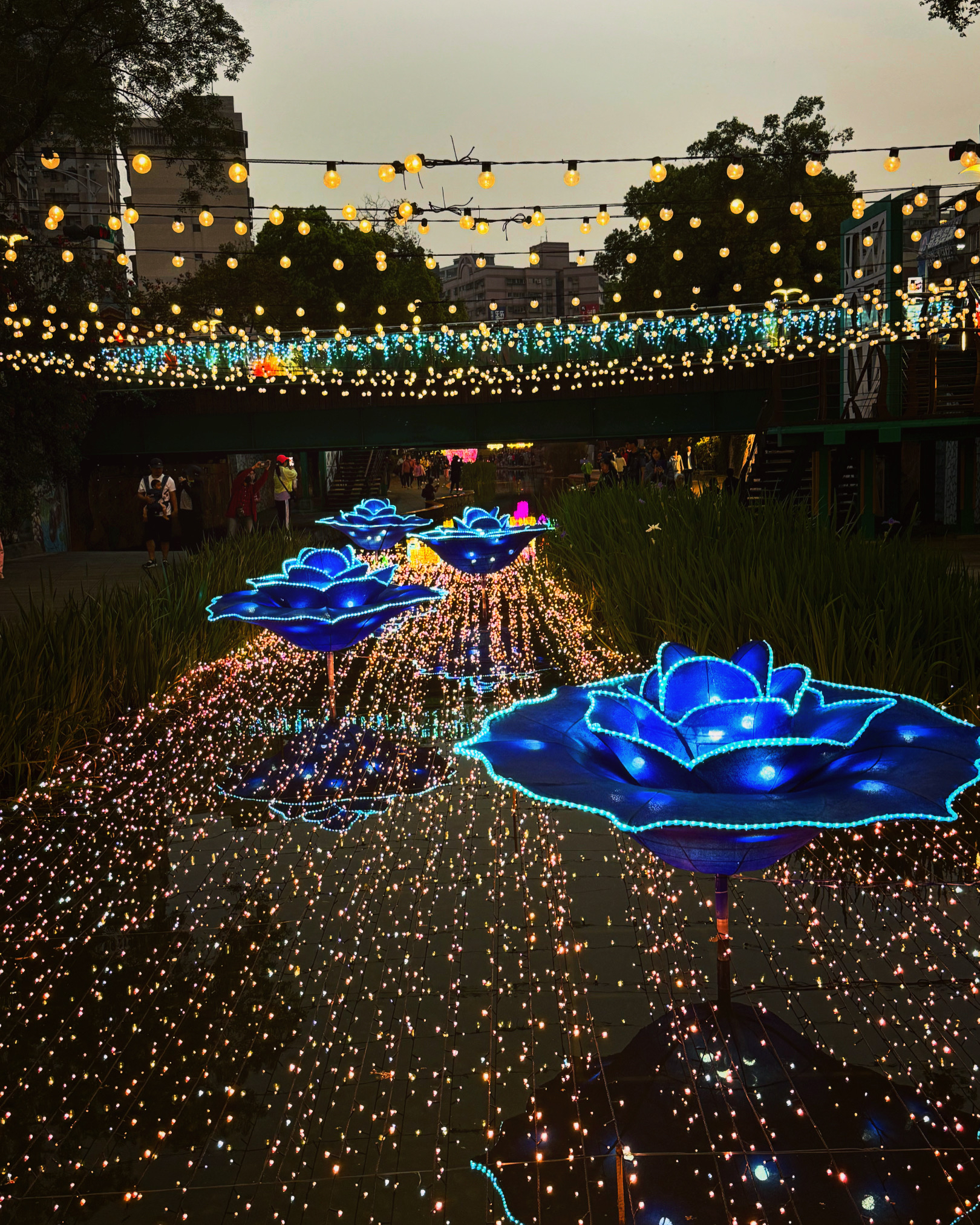 中港大排河廊光雕秀 - 以浪漫愛情燈飾結合沉浸式光雕投影，沿著蜿蜒河廊，並利用自信橋、幸福橋、昌盛橋