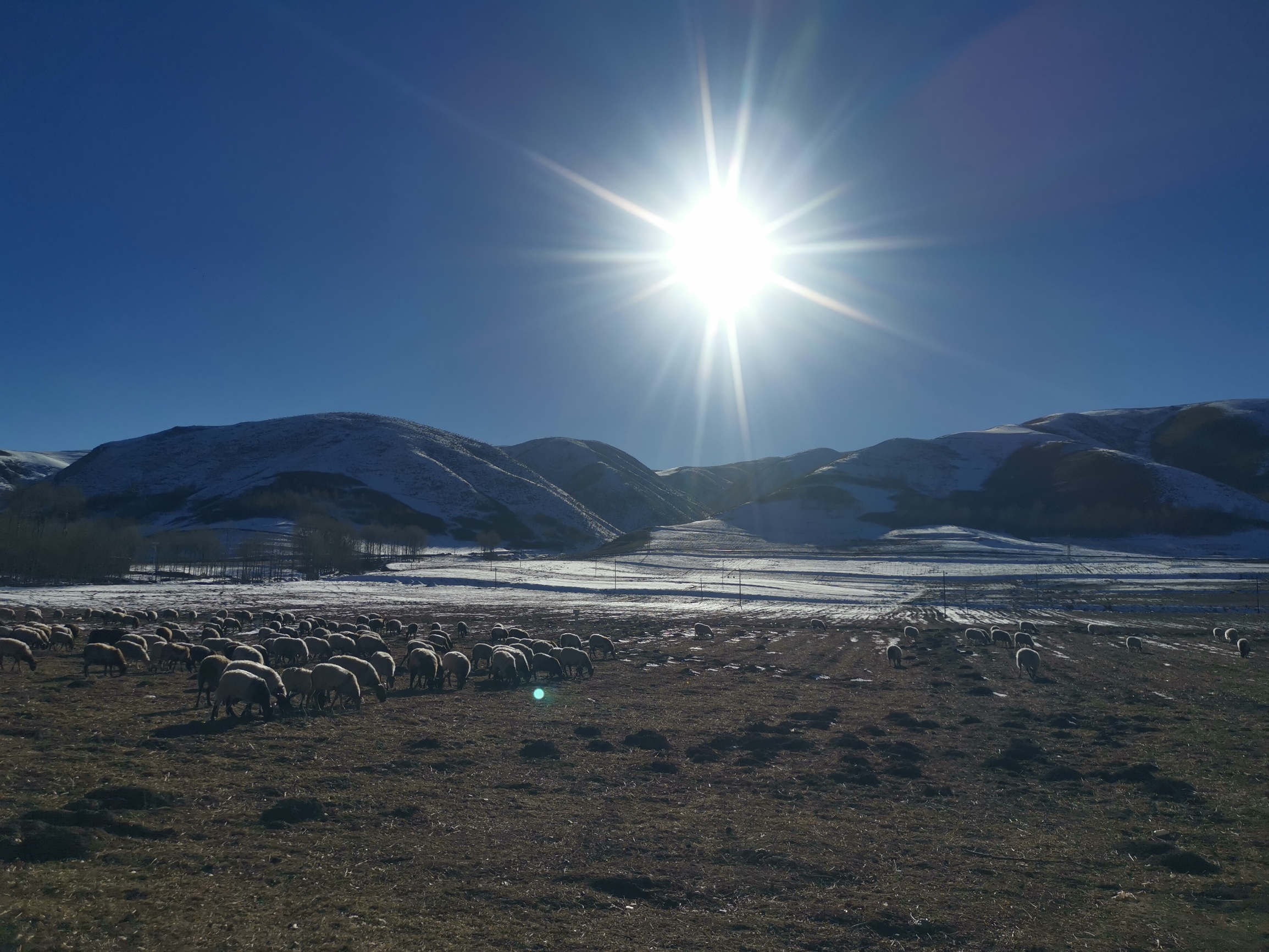 海拔3000km高的大西北青海，冬天的美景让人陶醉！