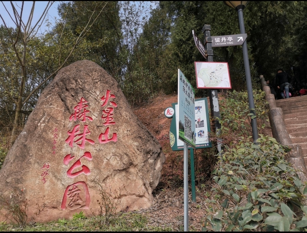 宝藏川南小镇💯有个森林公园可徒步