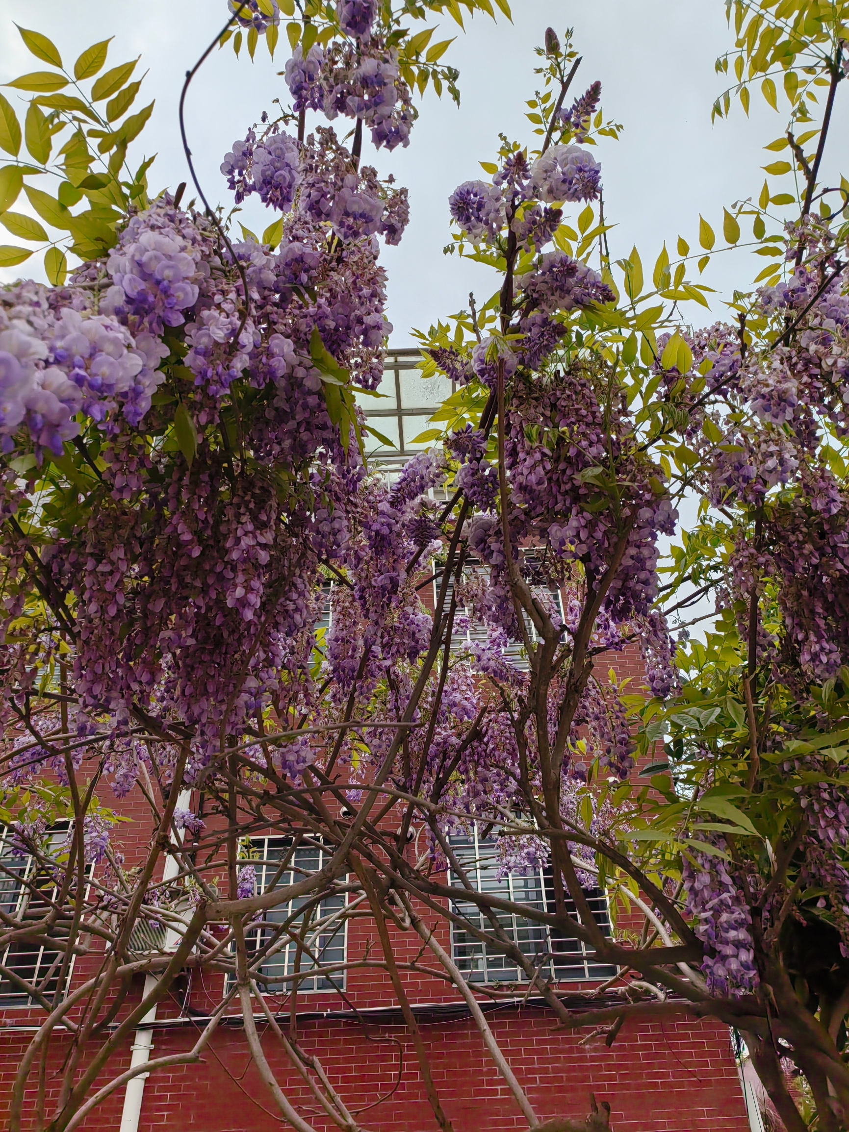 清明节处处是美景