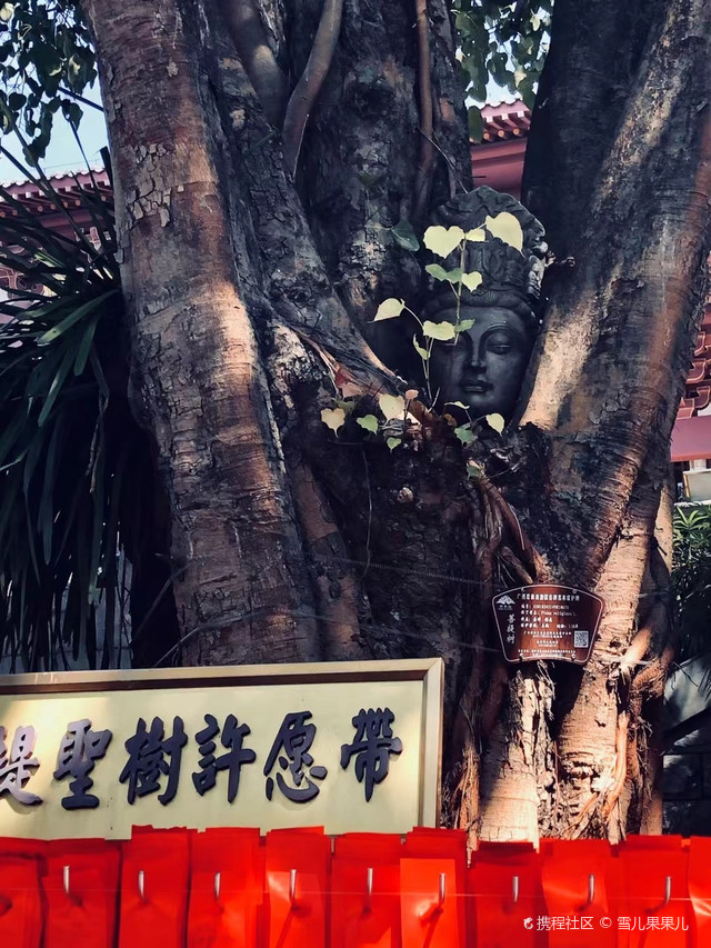 南宁万寿观音禅寺朝圣指南:登高祈福,解锁心灵之旅